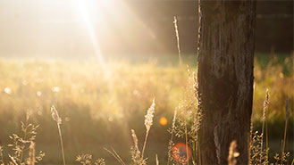 ddos在线压力测试平台