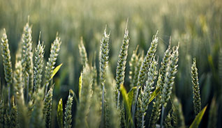 ddos压力测试平台